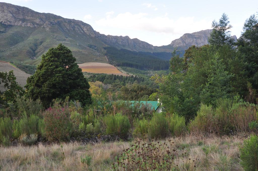 Kierie Kwaak Self Catering Stellenbosch Exterior foto