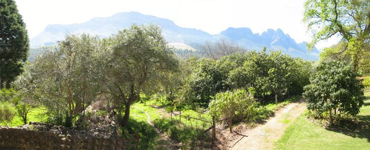 Kierie Kwaak Self Catering Stellenbosch Exterior foto